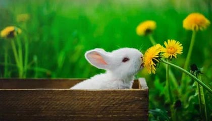 爱游戏登录入口-新赛季揭幕战得分王是他！莫兰特爆砍44分创造历史